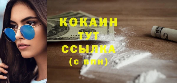 COCAINE Богородицк